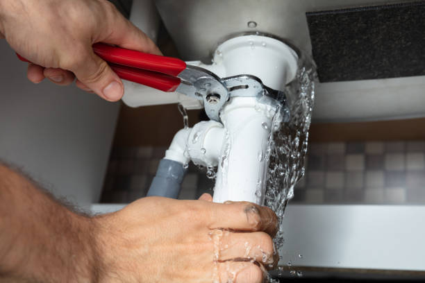 Best Flooded house restoration  in Jourdanton, TX