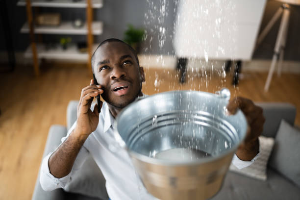 Best Mold removal after water damage  in Jourdanton, TX