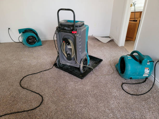  Jourdanton, TX Water damage restoration Pros
