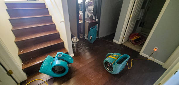 Best Basement water damage restoration  in Jourdanton, TX
